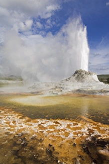 Castle Geyser Eruption Stampe: D2x070608269