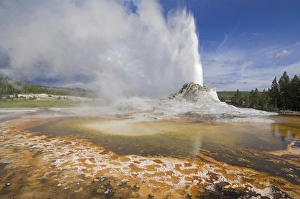 Castle Geyser Eruption Stampe: D2x070608272