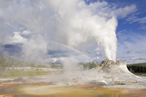 Yellowstone National Park Photography Stampe: D2x070608341