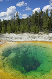 Upper Geyser Basin Stampe: D2x070609239