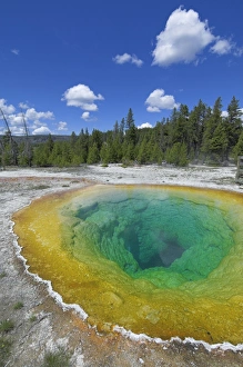 Yellowstone National Park Stampe: D2x070609412