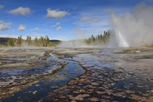 American Natural Landmarks Stampe: Daisy Geyser, one of the most predictable
