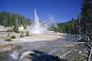 Yellowstone Geysers Stampe: Echinus Geyser