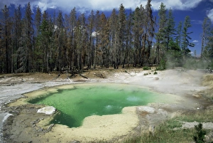 Natural Hot Springs USA Stampe: Emerald Spring