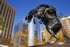 Equestrian Sculpture Art Stampe: Equestrian statue