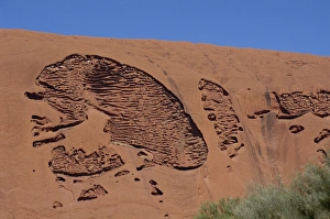 World Heritage Site Landscapes Stampe: Erosion pattern, Uluru (Ayers Rock), UNESCO World heritage Site, Northern Territory