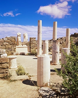 UNESCO Sites In Greece Stampe: Establishment of the Poseidoniasts