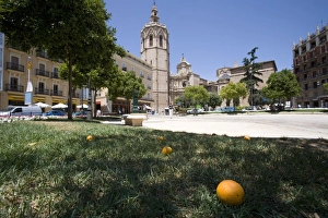 Mediterranean Architecture Europe Stampe: fallen orange