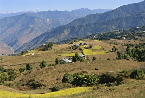 Bhutan Landscape Photography Stampe: Farmed fields in mountainous landscape, eastern Bhutan, Asia