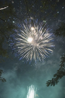 Long Exposure Shots Stampe: Fireworks