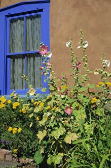 Vertical Landscape Images Stampe: Flower bed and window