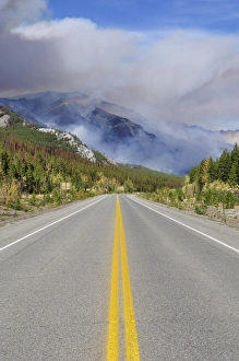 Montagne Rocciose Canadesi Stampe: Incendio forestale vicino a Saskatoon Crossing