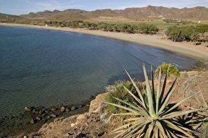 Immagini datate 11 gennaio 2000: Spiaggia dei Genovesi