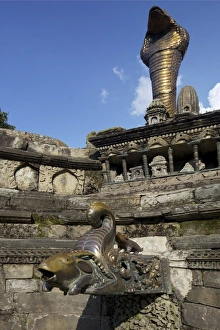 Asia Travel Destination Images Stampe: Goat