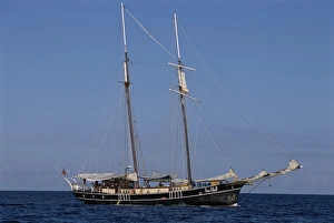 African Ocean Views Stampe: Goelette (gulet)