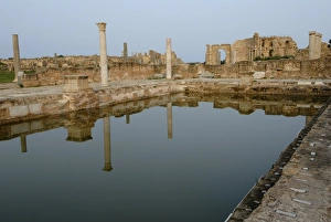 North African Historical Sites Stampe: Hadrianic bath