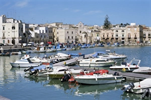 Puglia Italy Stampe: The harbour