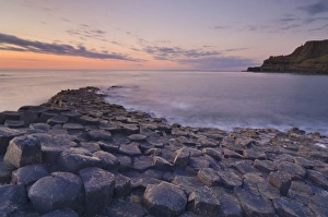 Stampe di Colonne di basalto hexagonale del Giant's Causeway sito Patrimonio Mondiale dell'UNESCO e area di interesse scientifico speciale vicino a Bushmills nel Contea d'Antrim in Irlanda del Nord Regno Unito Immagini del 24 maggio 2008: Colonne di basalto hexagonale del Giant's Causeway, Sito Patrimonio Mondiale della UNESCO