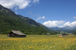 Austrian Countryside Images Stampe: High summer pasture, Sonnenterrase area, Austria, Europe