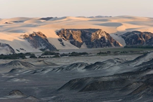 African Wilderness Adventure Stampe: Hoarusib, Skeleton Coast