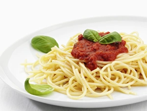 Tomato Sauce Recipes Stampe: Image 2834