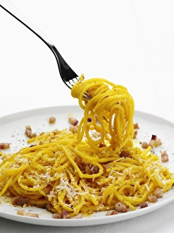 European Pasta Dishes Stampe: Image 2881