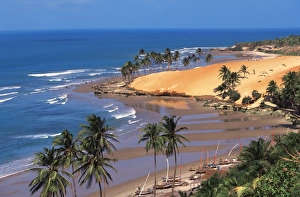 Brazilian Coastline Stampe: image_33
