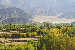 Indian Himalayan Region Stampe: Indus Valley