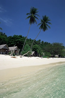 Tropical Coastline Photography Stampe: Island of Phi Phi Don