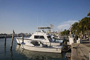 American Coastline Photography Stampe: JAN0290