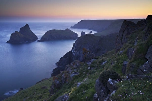 Stampe di Cove di Kynance, La Testa dell'Isola del Lizzard in Cornovaglia nel Regno Unito d'Europa Immagini datate 2012 maggio: Cove di Kynance, La Testa dell'Isola del Lizzard in Cornovaglia nel Regno Unito d'Inghilterra Europa