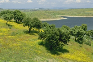 Extremadura Landscape Stampe: Landscape of fields