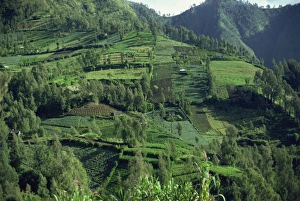 Indonesia Landscape Photography Stampe: Landscape in Mount Bromo region, Java, Indonesia, Southeast Asia, Asia