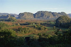 Cuba UNESCO World Heritage Site Stampe: Landscape view of fields and trees in valley, with hills beyond, Vinales Valley