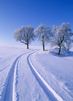 Winter Landscape Photography Stampe: Landscape in winter