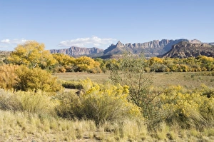 Outdoor Travel Destinations USA Stampe: _LEF4769