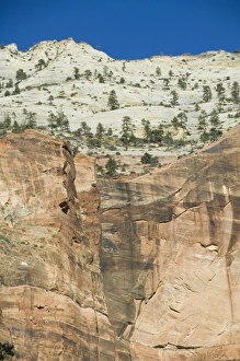 Blue Sky Canyon View Stampe: _LEF4803