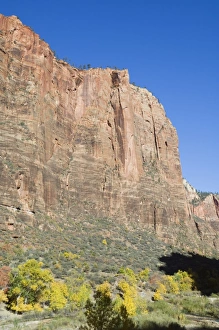 Vertical Landscape Photography Tips Stampe: _LEF4849