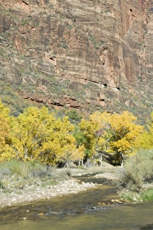 American Canyon Landscapes Stampe: _LEF4853