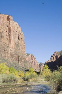 Sandstone Cliff Formation Stampe: _LEF4854