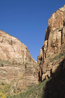 Vertical Landscape Images Stampe: _LEF4865