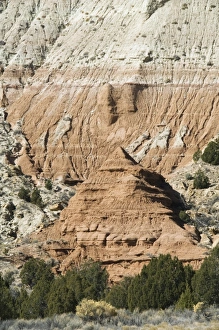 Natural World Scenic Views Stampe: _LEF5203