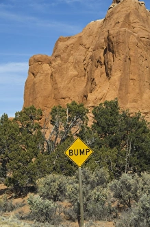 Warning Signs In Nature Stampe: _LEF5224