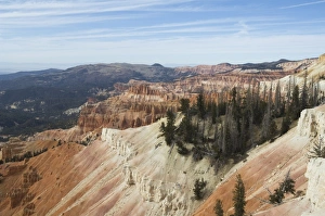 Cedar Breaks National Monument Stampe: _LEF5246