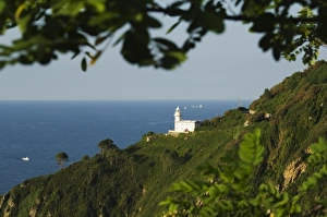 European Lighthouse Stampe: Lighthouse on cliff