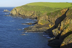 United Kingdom Outdoor Scenes Stampe: Lizard Point, The Lizard, Cornwall, England, United Kingdom, Europe
