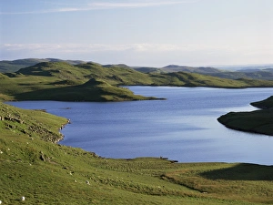 United Kingdom Outdoor Photography Stampe: Llyn Teifi