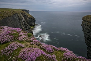 Stampe di Cappello di Loop, Contea di Clare, Munster Repubblica d'Irlanda Europa Immagini datate 2016 maggio: Casa della testa del loop, Contea di Clare, Munster Repubblica d'Irlanda Europa