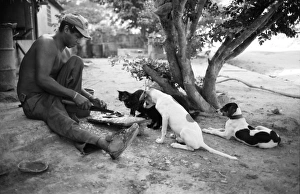Stampe di Uomo prepara colazione osservato da cani e gatto in Mediana (Venezuela), Sudamerica Venezuela Stampe: Uomo prepara colazione