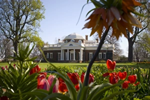 Virginia Travel Destinations Stampe: mcs0132